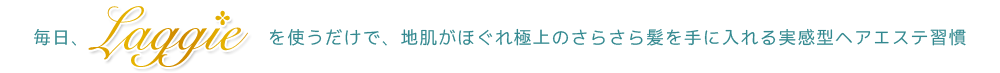 毎日Laggie-ラグジー-を使うだけで、地肌がほぐれ極上のさらさら髪を手に入れる実感型ヘアエステ