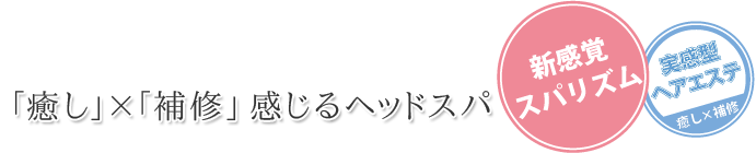 Laggie ラグジー 『実感型ヘアエステ』「癒し」×「補修」感じるスパリズム『新感覚』