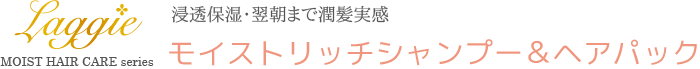 浸透保湿・翌朝まで潤髪実感！ラグジー新シリーズ【Laggieモイストリッチシャンプー＆ヘアパック】