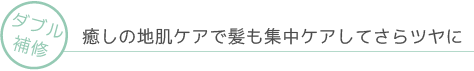 【ダブル補修】癒しの地肌ケアで髪も集中ケアしてさらツヤに